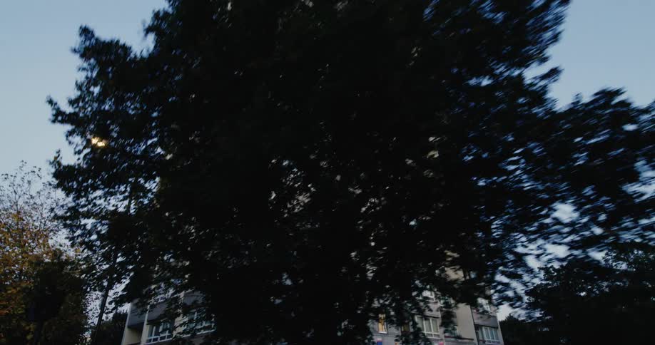 The camera pans up a tall gray apartment building named gordon house with trees framing the shot eventually showing the building against a clear sky