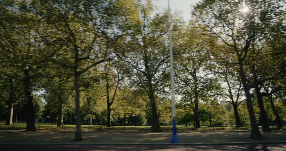 Landscape of a green park with trees