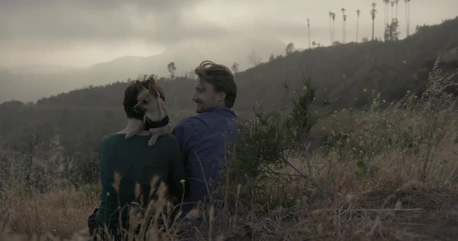 A couple and their dog sit on a windy hill