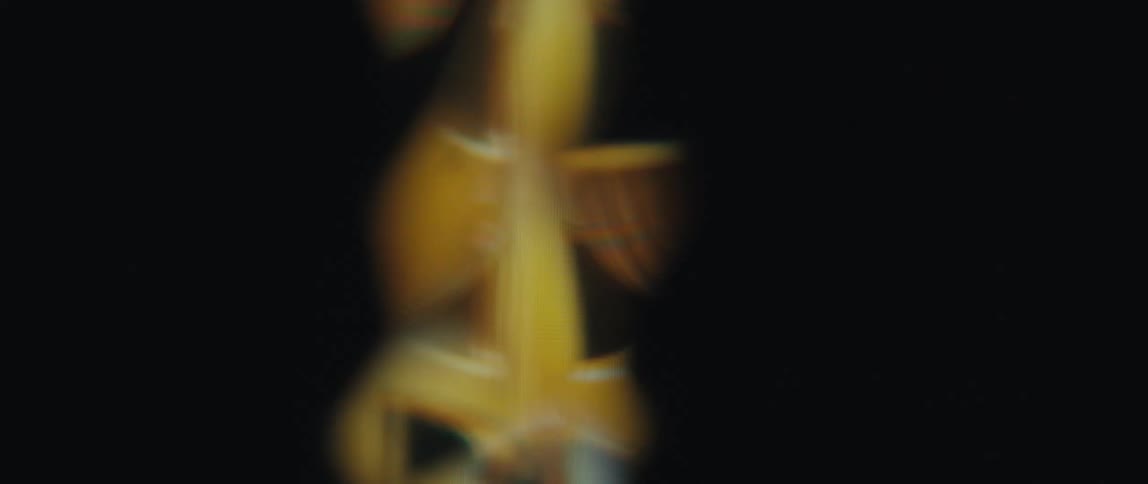 Close up of a screen displaying a golden dollar sign in abstract rotating motion