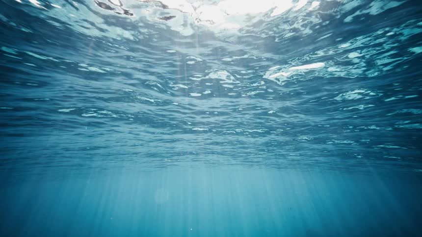 A serene underwater scene with sunlight filtering through the waters surface illuminating the depths of the ocean