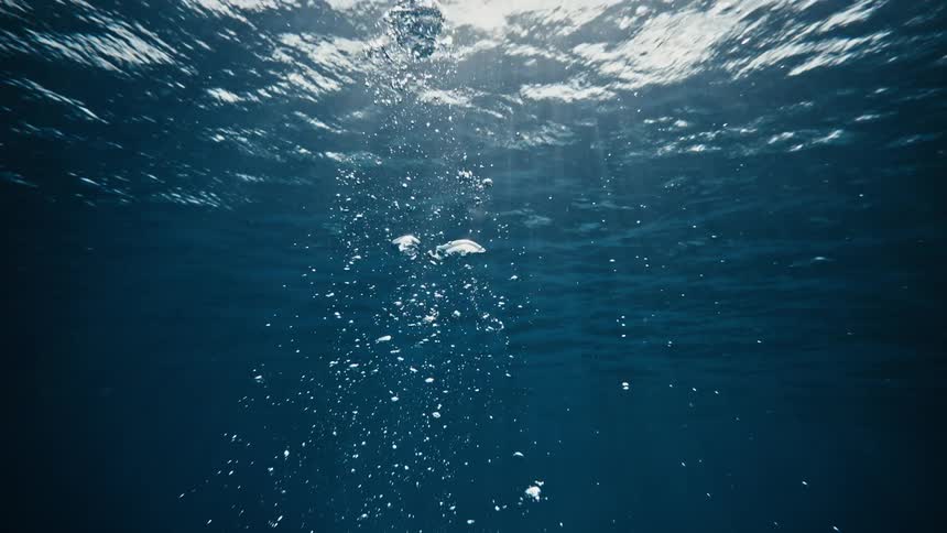 Inside the sea air bubbles rising to the surface