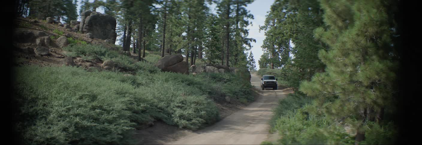 White car traveling down a narrow street surrounded by trees