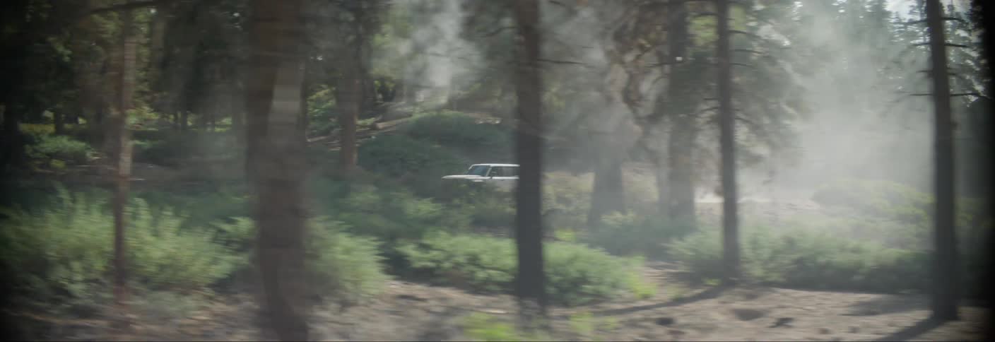 White offroad vehicle driving along a forest trail
