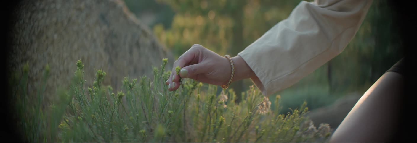 Womans hand picking a plant outdoors