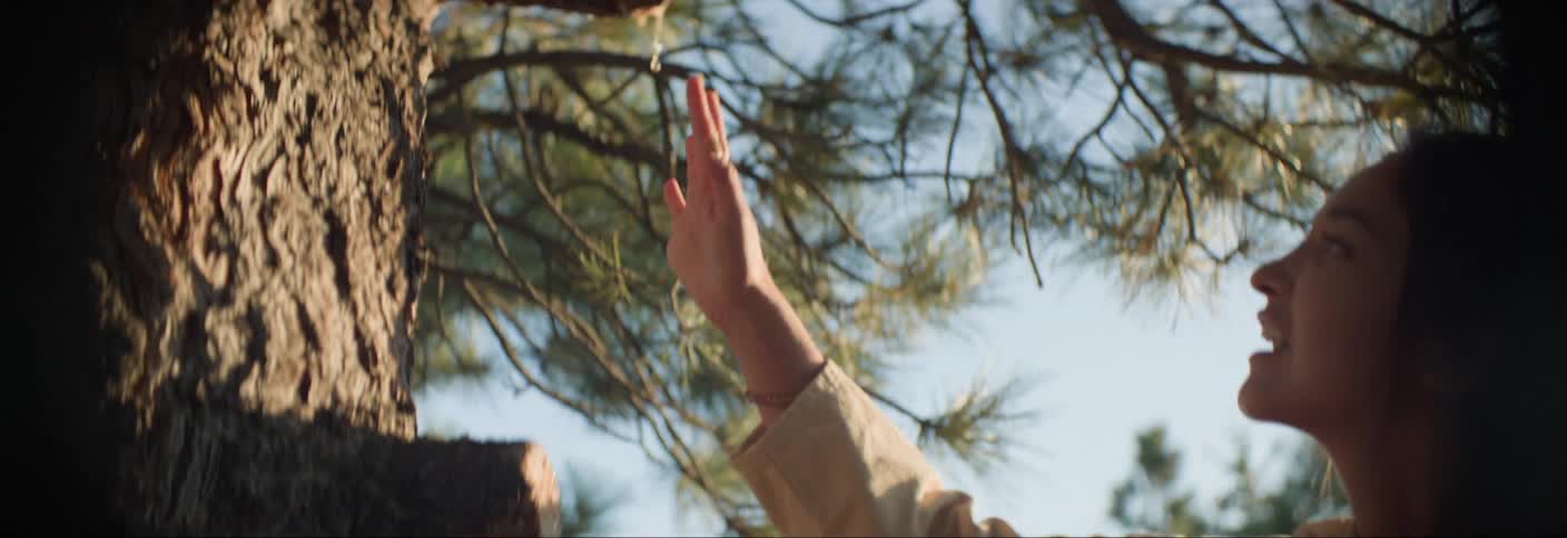 A woman reaches toward a tree branch with sap dripping from it