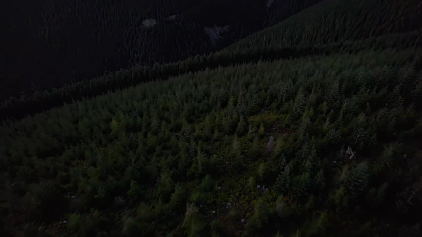 Aerial view of an observation station surrounded by pine tree forests in the mountains