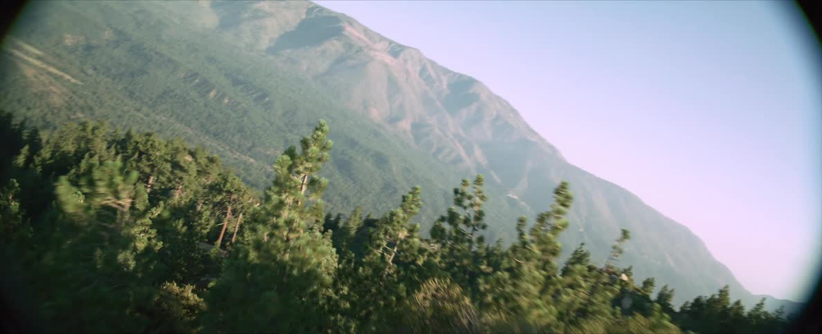 Aerial of an evergreen forest in a mountain range on a sunny day