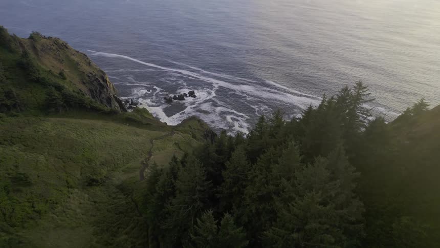 Aerial landscape of a mountain with conifers by the sea