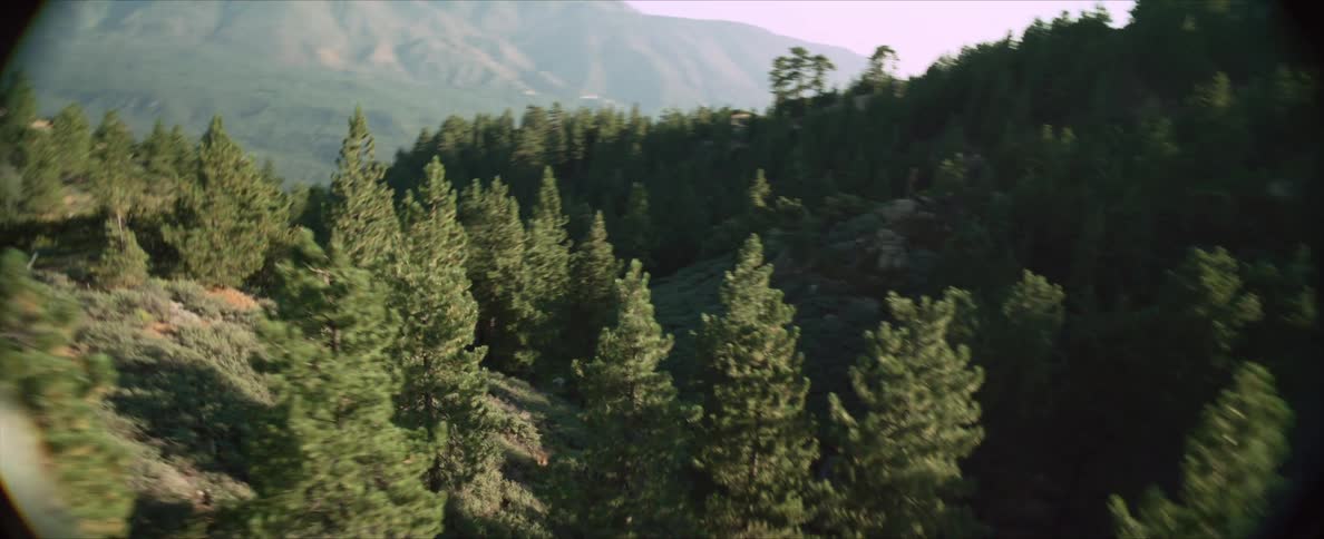 A scenic view of a forested mountain slope with dense green trees and a hazy mountain in the background under a clear sky