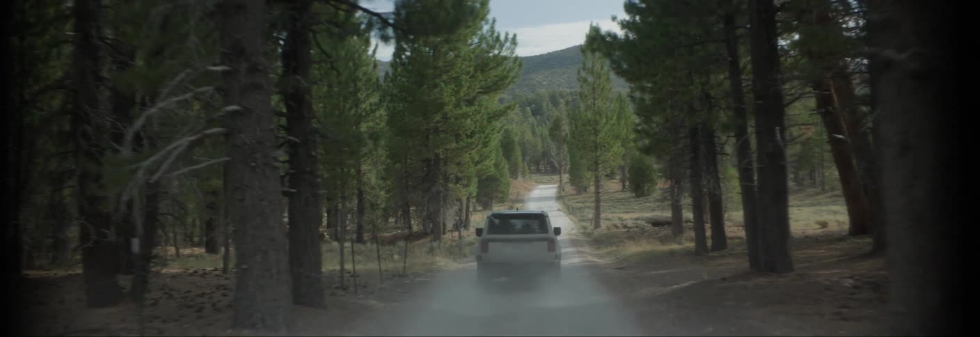 A white suv driving down a dirt road through a dense forest kicking up dust and splashing through puddles