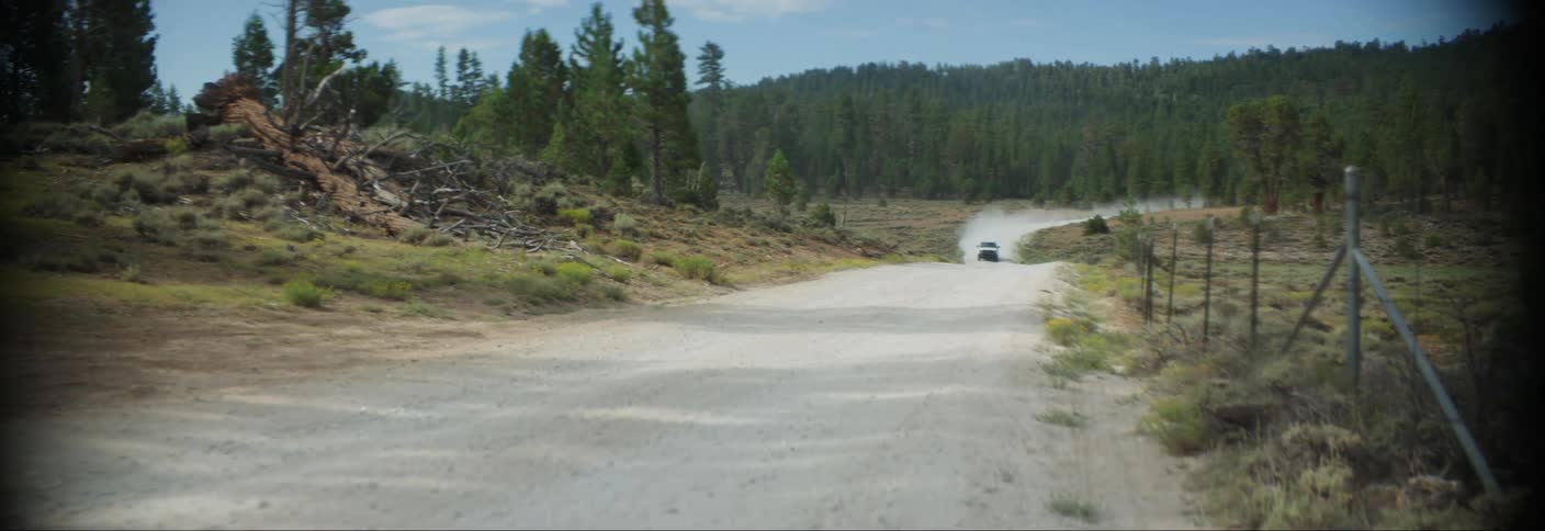 A white suv speeds down a dirt road through a forest kicking up dust as it navigates the winding path