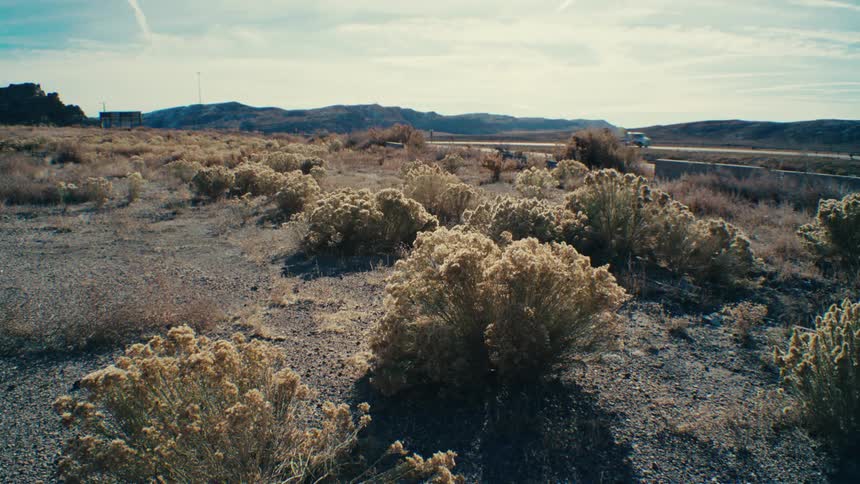 A clip of a plain grass land beside the road