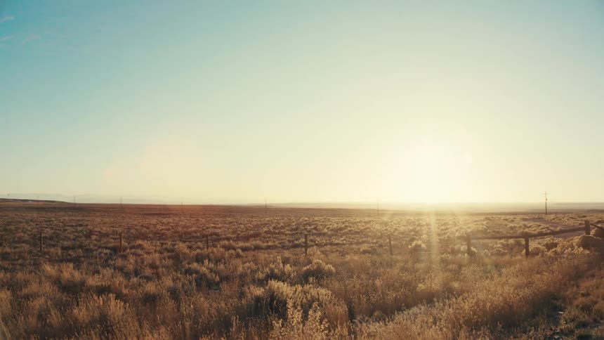 Vast field with the sunrise on the horizon