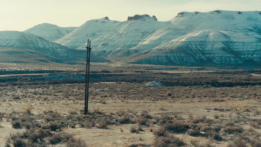 A field with soil full of beige vegetation and some white mountains in the background