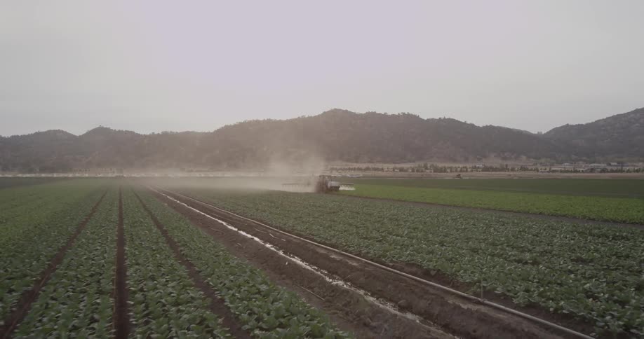 Farm vehicles are working a long field