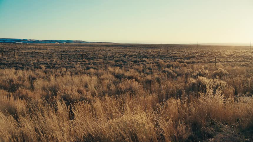 A large flat field with beige grass and vehicles passing in the background and there is strong sunlight coming from the right