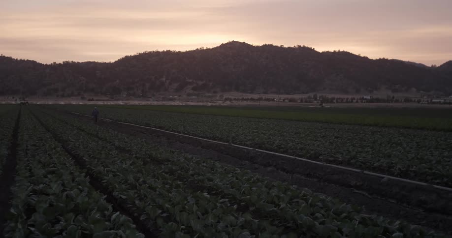 A view of a man walking across a field and the camera is pulling back