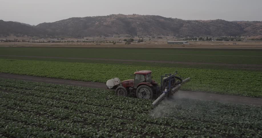 A farmer is spraying his crop