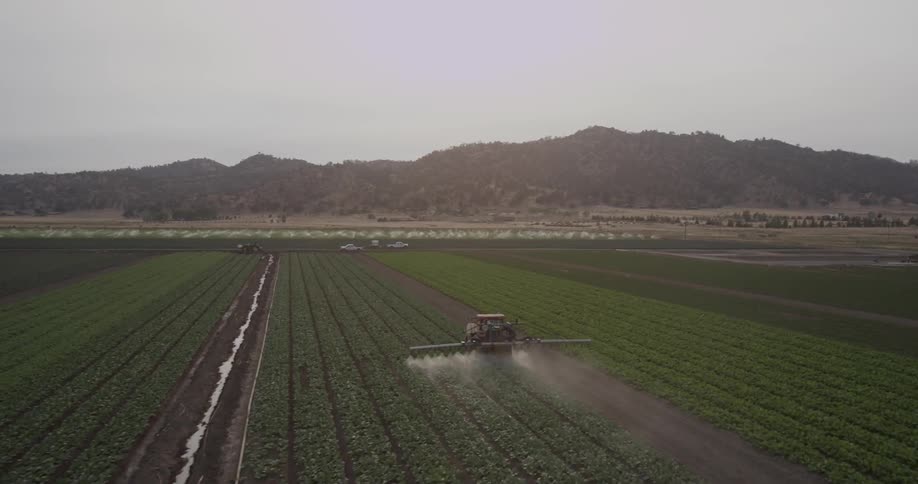 A tractor sprays fluid onto crops