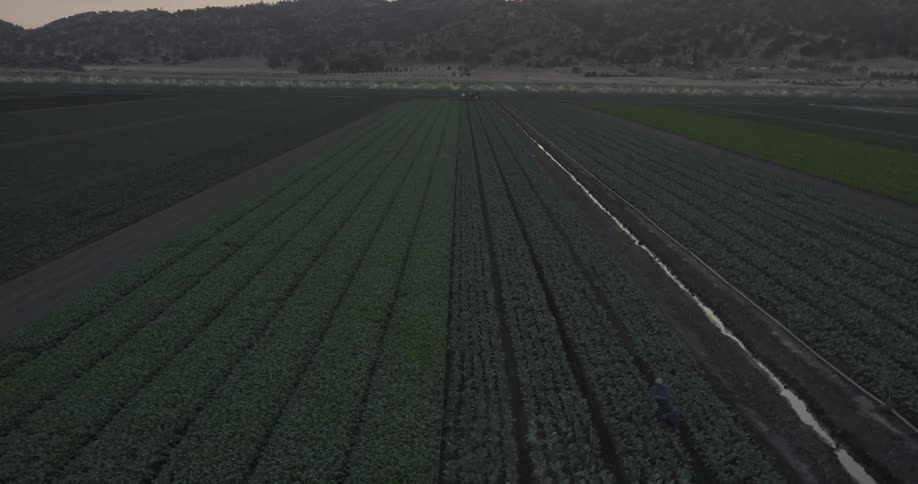 Vast fields of farmland at sunrise