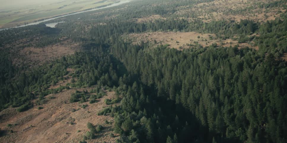 A dense forest of evergreen trees stretches along a river valley contrasting with the open grasslands beyond