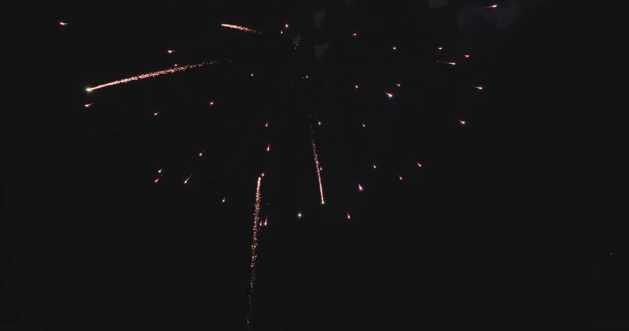 Fireworks exploding in a dark sky illuminating the night with a vibrant display of colorful lights