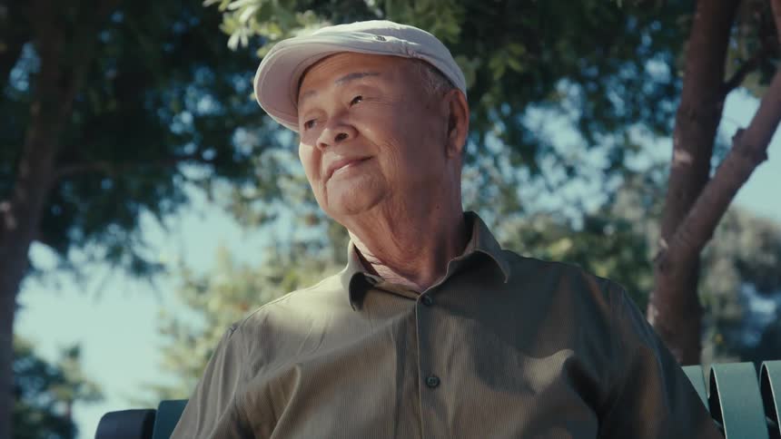 Elderly man sitting on a bench under a tree and looking at a photo album