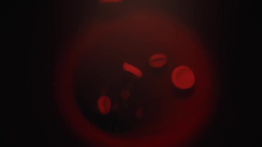 Red blood cells flowing through veins