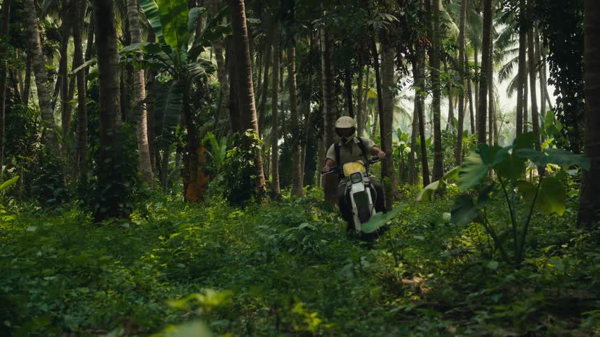 A man rides his dirt bike through the woods