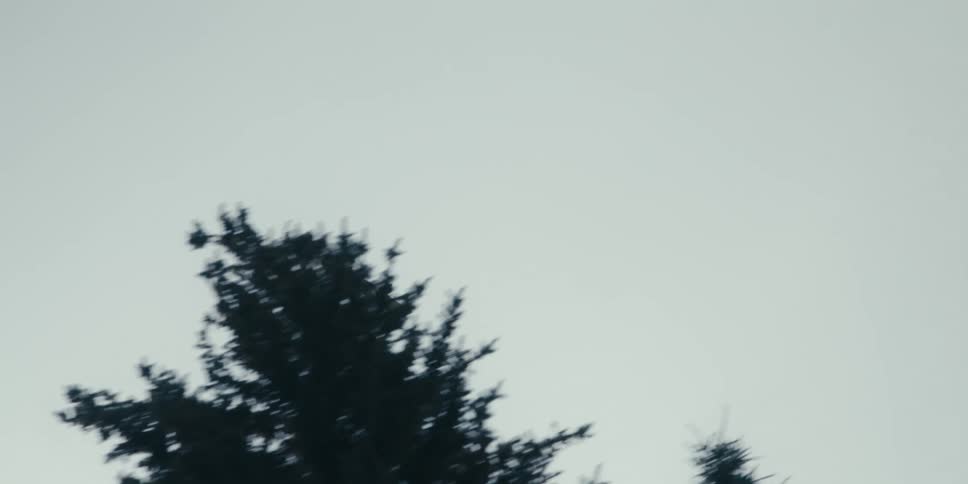 Small prop plane flies through the sky overhead