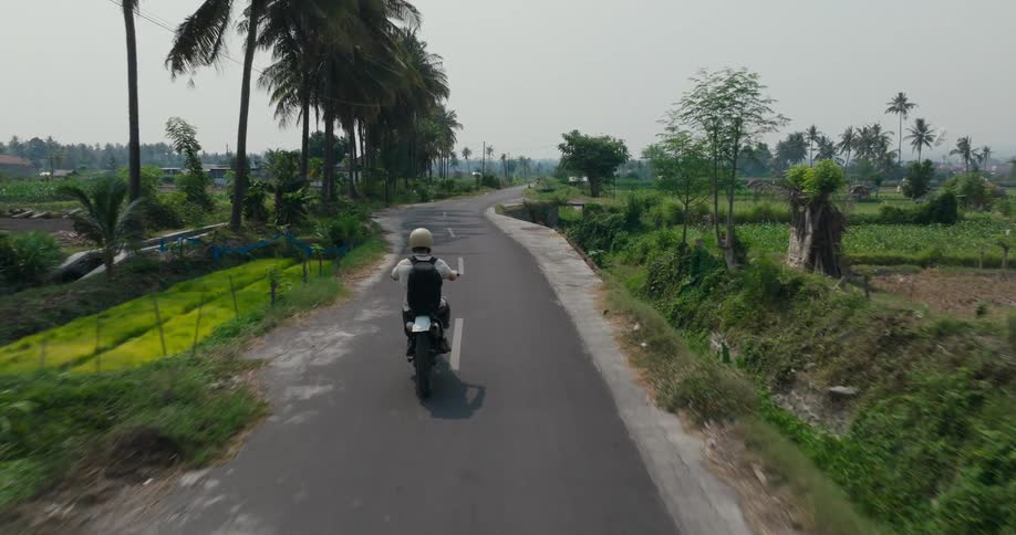 A person is riding a motorcycle down a narrow rural road lined with palm trees and lush vegetation
