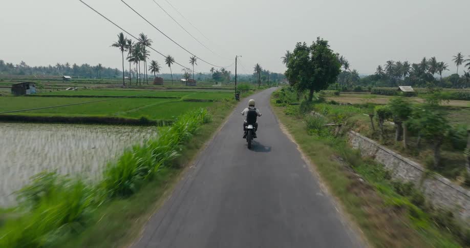 Aerial view of a person riding a motorcycle on a road surrounded by paddy fields