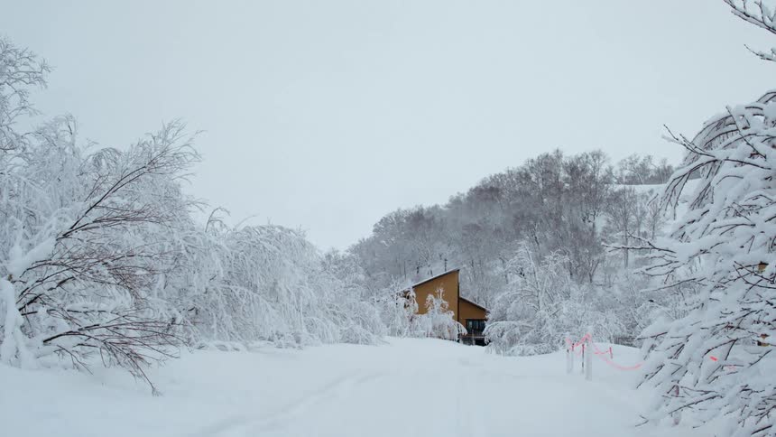 A cabin is surrounded by snow