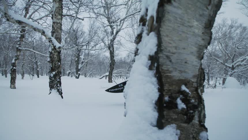 Two people carrying boards are walking in a completely snowy environment on the ground and there are some trees around