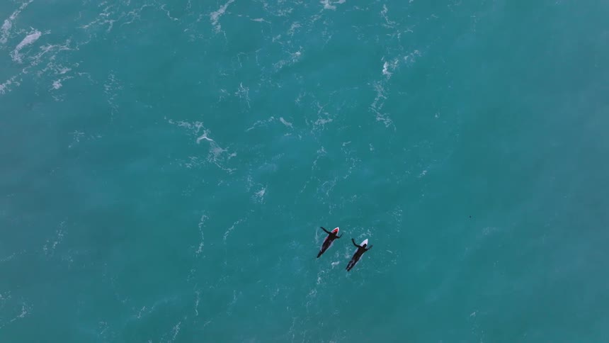 Aerial of two adults paddling on surfboards in the ocean