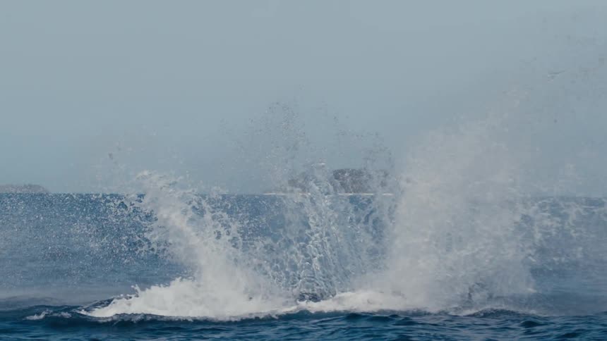 A whale jumps out of the ocean and splashes back in
