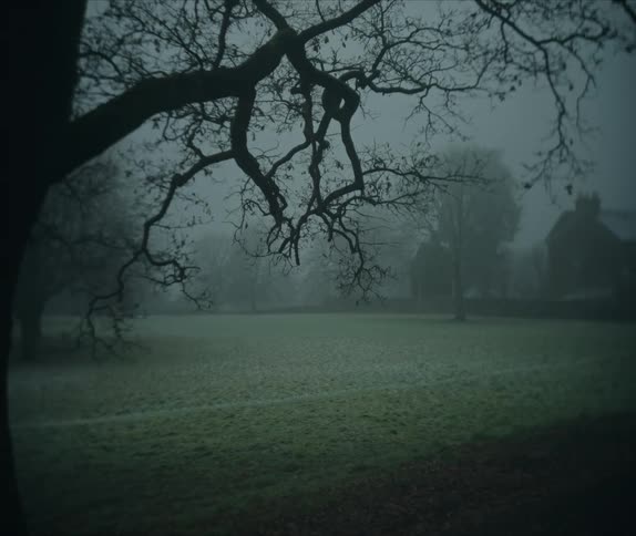 A park with barren trees in winter