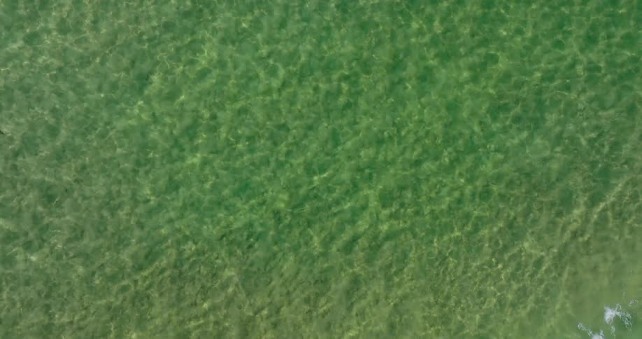 A clear shallow body of water with a sandy bottom viewed from above
