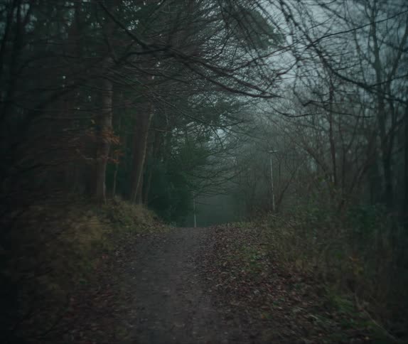A small dirt road with dry leaves in the corners and trees all around