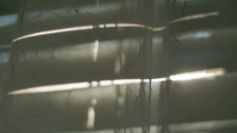 Sunlight shines through blinds and a sheer curtain