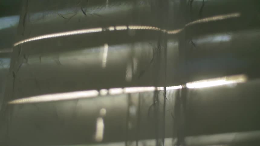 Sunlight shines through blinds and a sheer curtain