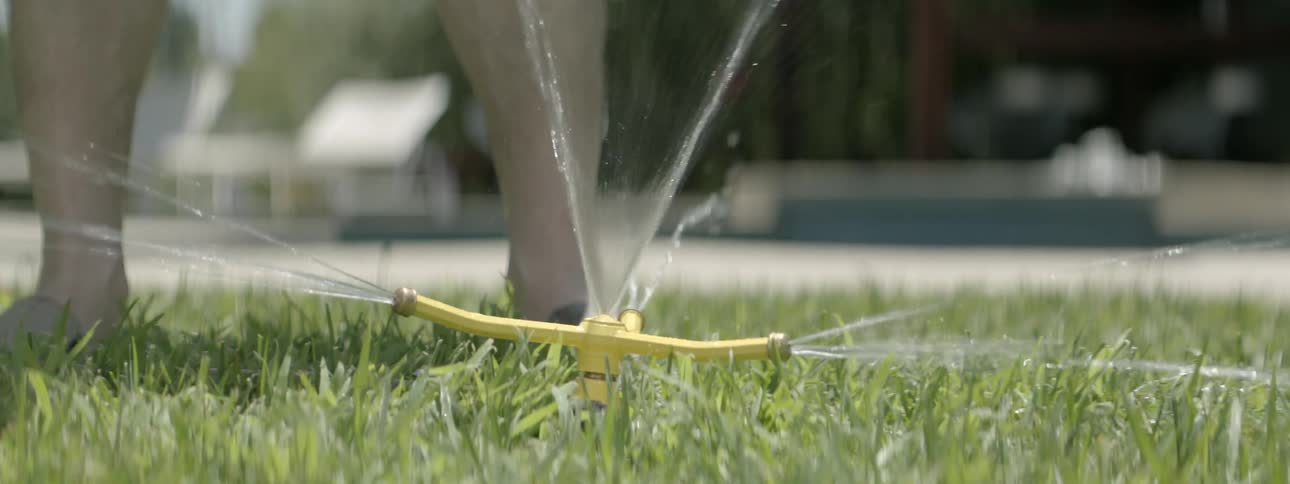 A sprinkler sits off on a lawn
