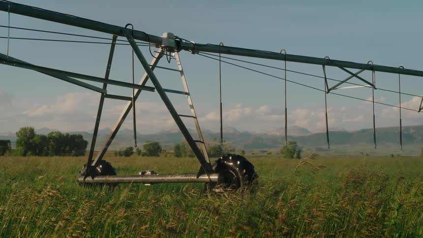 A pivot irrigation system is in motion its wheels turning watering a field of wheatgrass that is swaying in the wind with distant trees and mountains are visible in the background