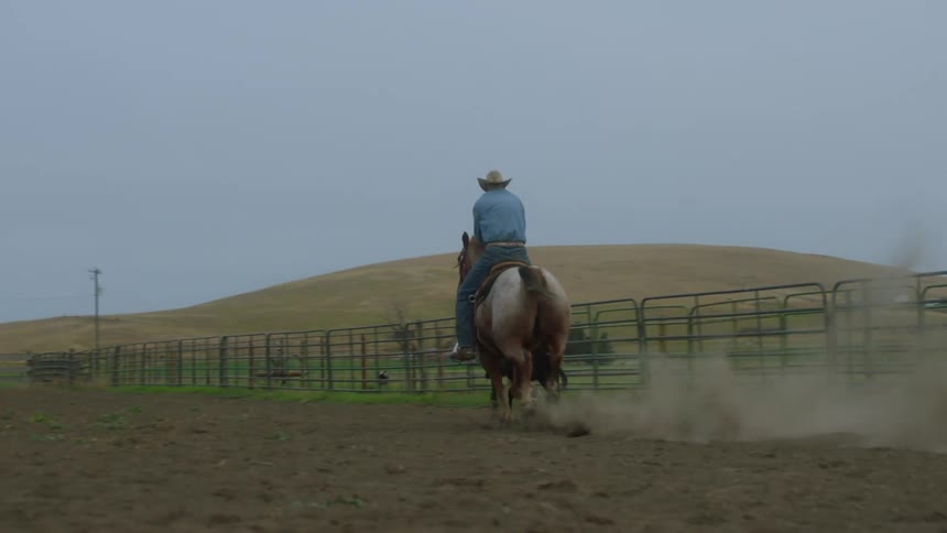 A rider on horseback pursues a calf in a dusty arena the horses hooves kicking up a cloud of dirt