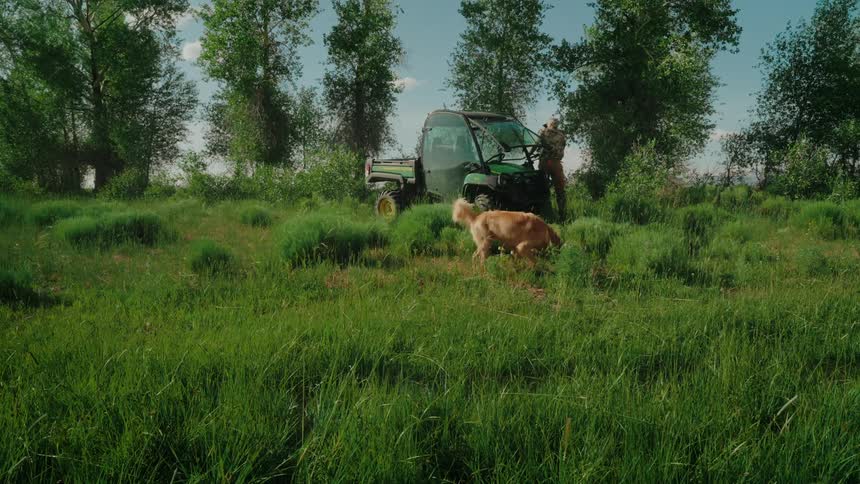 A quad arriving in an area full of green grass and there is a dog running behind it and then the quad stops and a person gets out and starts raking the grass