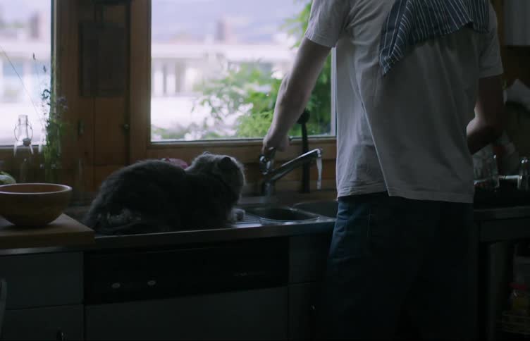 A cat walks around the sink while a man washes dishes