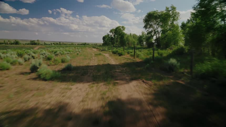 A dusty dirt road winds through a vast sundrenched landscape dotted with of tall grasses