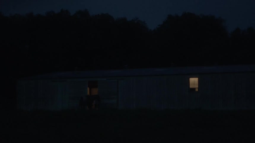Horse entering a ranch at night