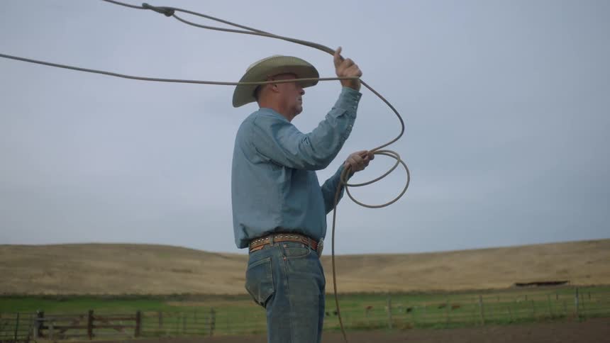 Older rancher swings a lasso while standing in a corral near a pasture holding a herd of cattle